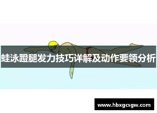 蛙泳蹬腿发力技巧详解及动作要领分析